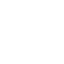icons8-palm-tree-64