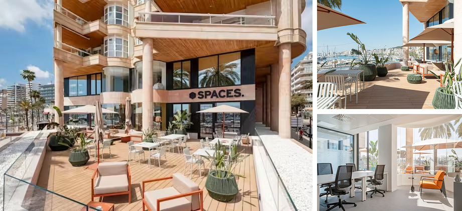 spaces_palma Spaces Palma
